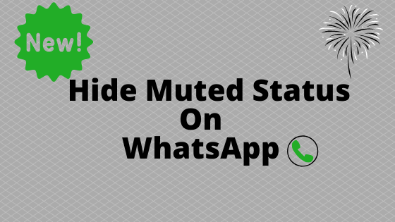 Protect your privacy by hiding muted status 